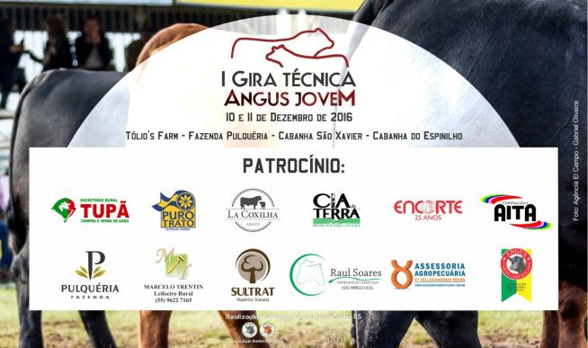 I Gira Técnica Angus Jovem