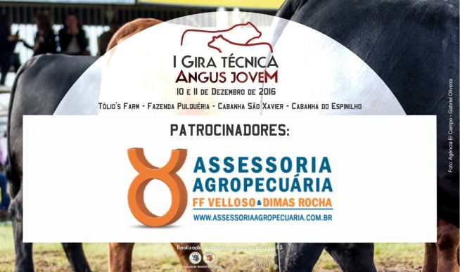 I Gira Técnica Angus Jovem