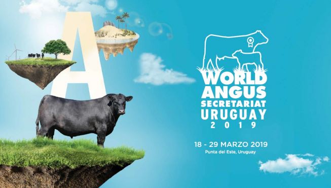 World Angus Secretariat Uruguay 2019