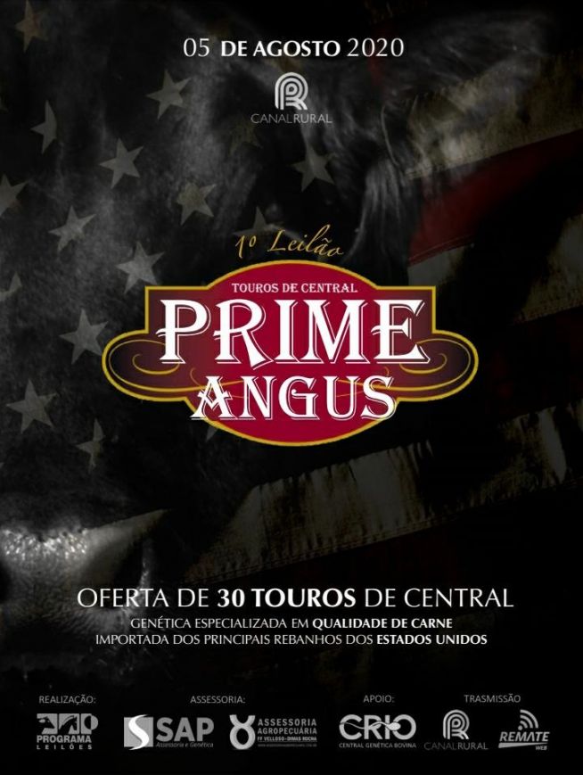 1º leilão Prime Angus - Touros de Central