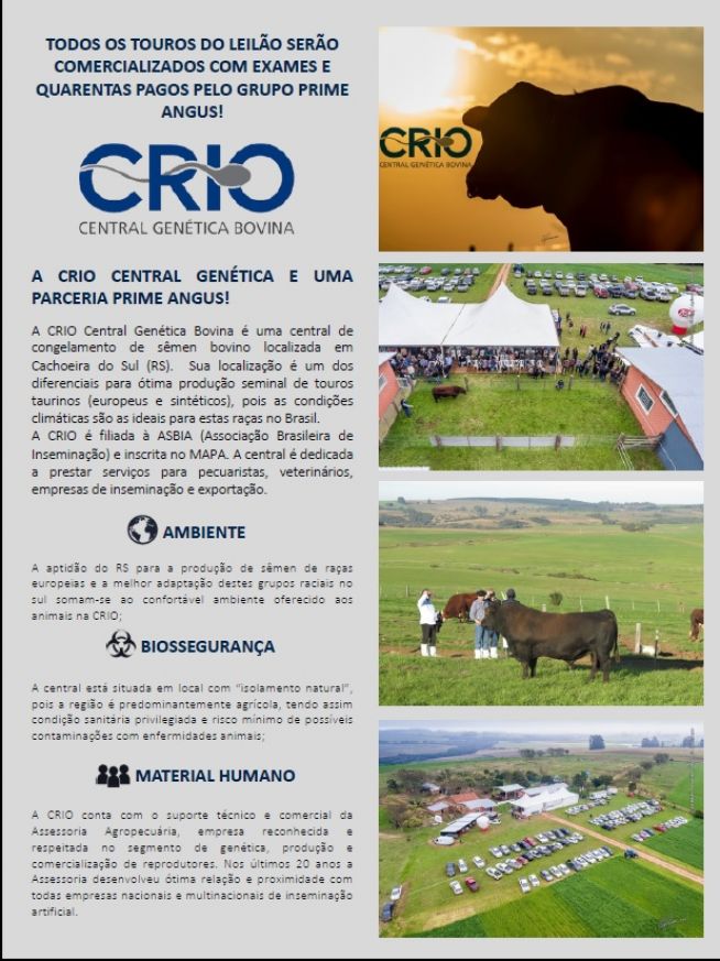 1º Leilão Prime Angus - Touros de Central