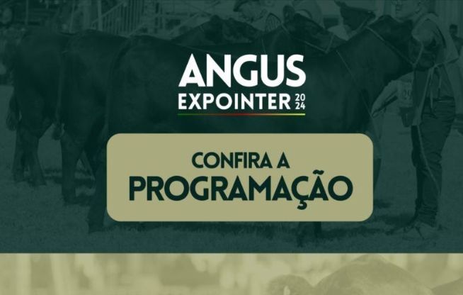Angus: 47ª Expointer
