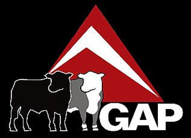 GAP GENÉTCIA