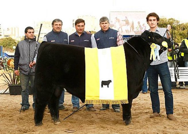 Terceiro Melhor Macho Palermo 2013