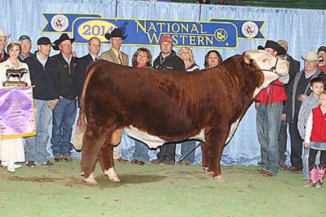 Grande Campeão Hereford - Denver 2014