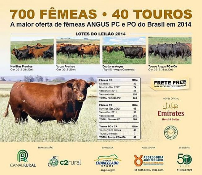 Leilão Querência 2014