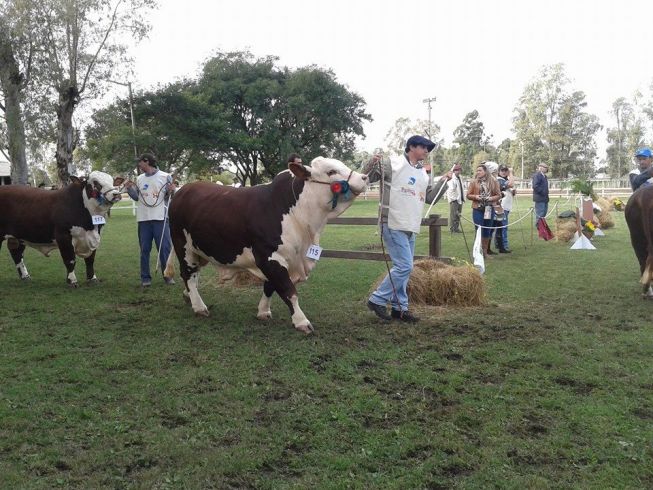 Julgamento_Braford