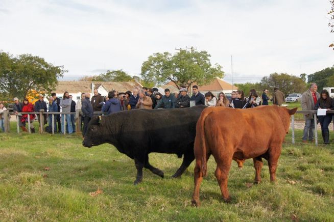 PAC ANGUS 2014