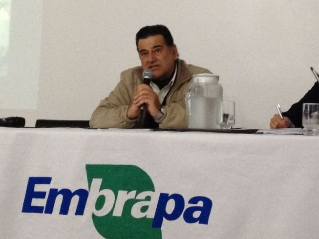 Ricardo Gregory, Presidente Conselho Técnico ABA