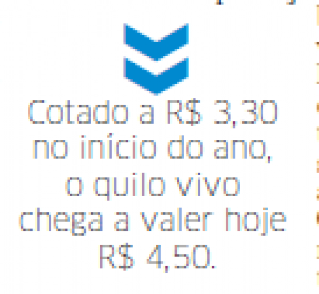 Preço do boi no RS
