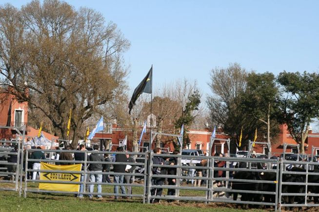 Remate Surangus 2014