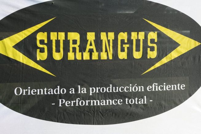 Remate Surangus 2014