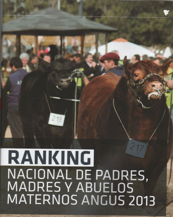 Ranking Padres Angus 2013