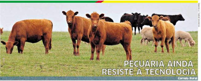 Pecuária ainda resiste à tecnologia