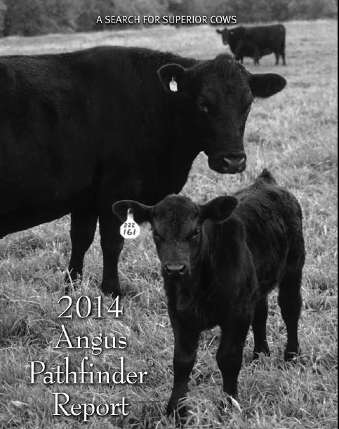 2014 Pathfinder Report