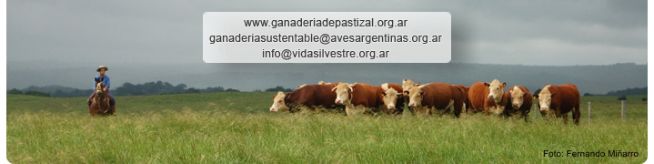 Ganaderia de Pastizal