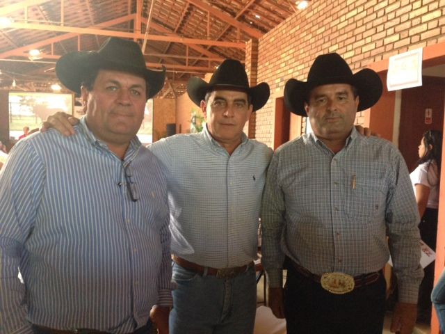 Leilão VPJ 2014