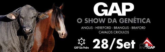 Leilão GAP Genética 2014