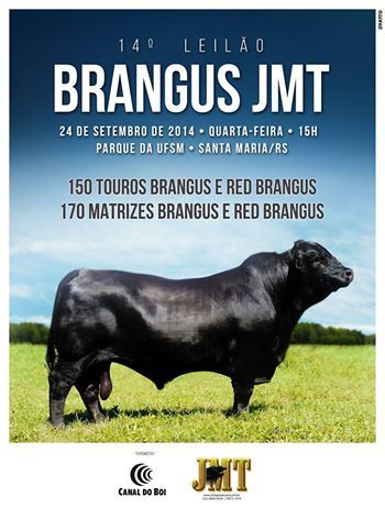 Nova aquisição ABS Pecplan: BRANGUS JMT 165Y 13