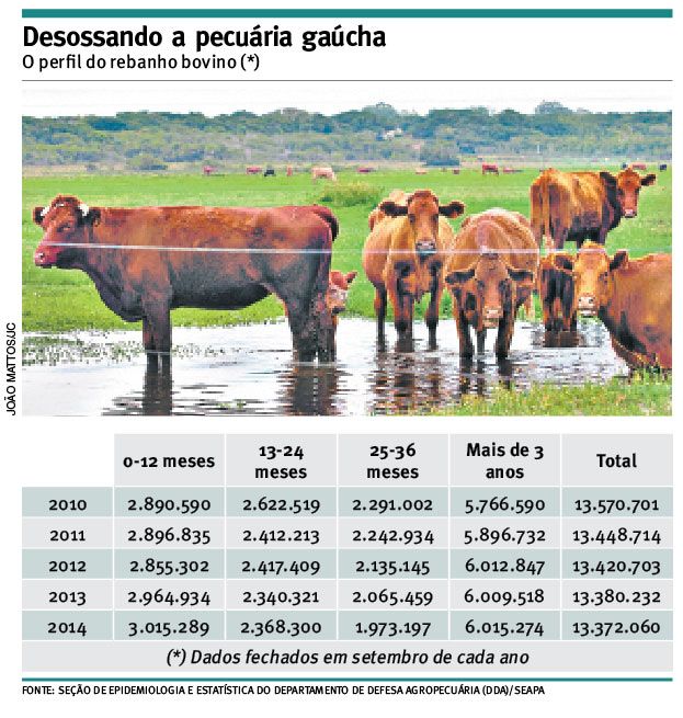 O guerra pelo boi gaúcho