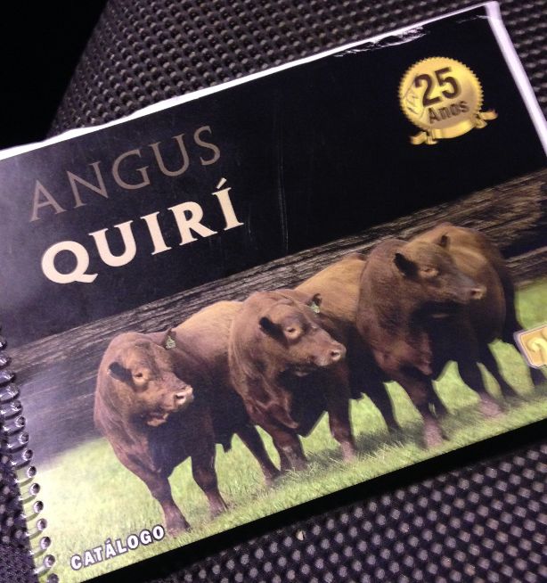 Quiri - 25 anos