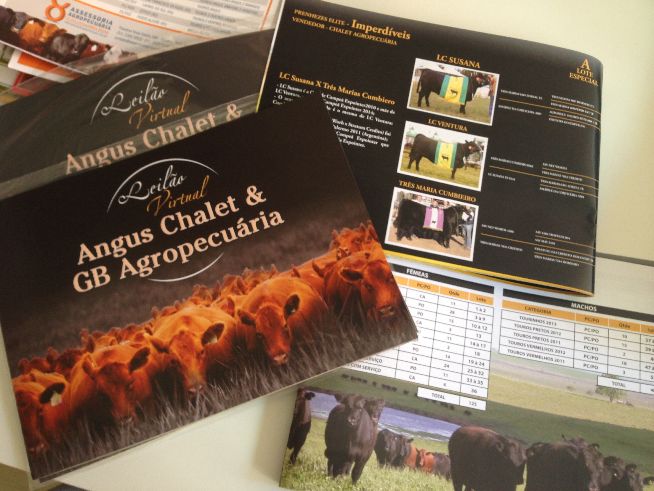 Leilão Virtual Angus CHALET & GB 2014