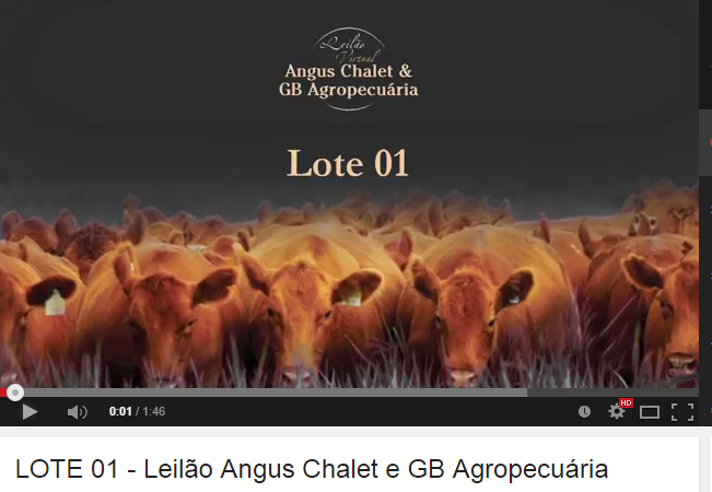 Leilão Virtual Angus CHALET & GB 2014