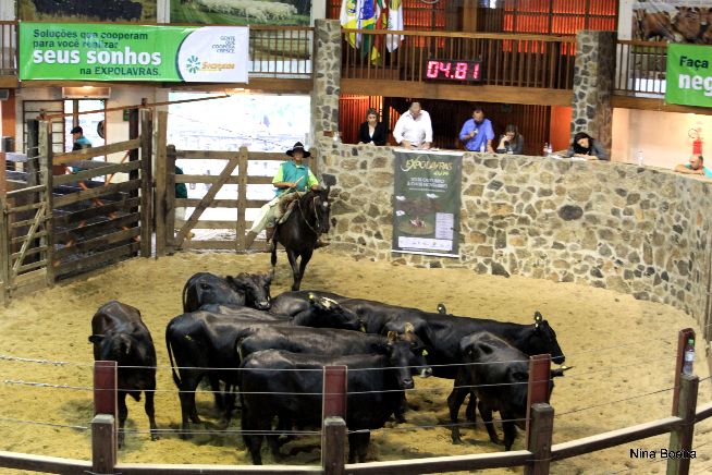Remates ExpoLavras 2014