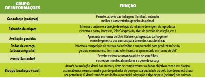 INSEMINAÇÃO ARTIFICIAL: Só emprenhar ou produzir mais e melhor?