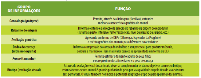 Grupo de Informações x Função
