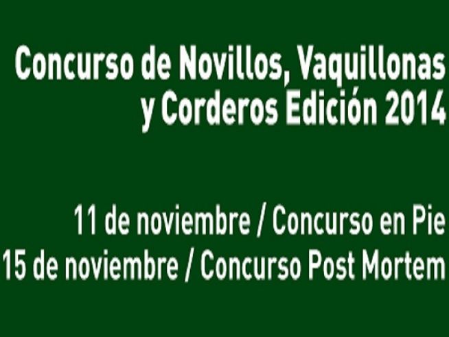 Segunda etapa del Concurso de Novillos, Vaquillonas y Corderos de ARU