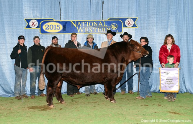 Res. Grande Campeão - GCC Navigator 1233