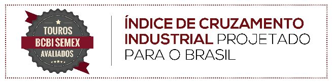SEMEX - BCBI