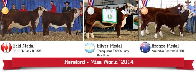 Hereford - Miss World 2014