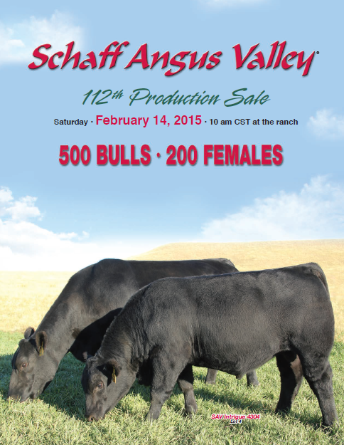 Schaff Angus Valley 112th Production Sale