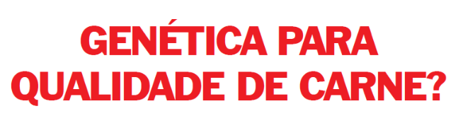 Genética para Qualidade de Carne?