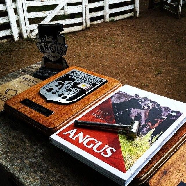 Núcleo Centro Angus premia destaques na Guarda Velha (Caçapava do Sul)