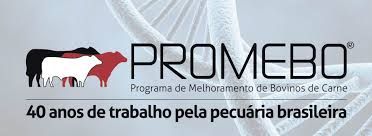 Programa de Melhoramento de Bovinos