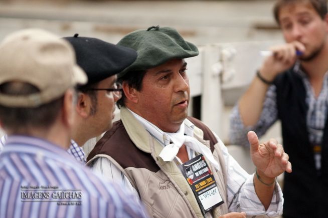 Angus de Outono, julgamento dos lotes comerciais e registrados