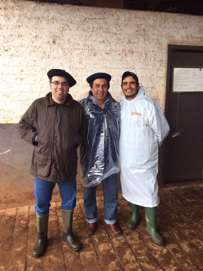 Reunião Anual do Corpo Técnico da Associação Brasileira de Angus - 2015