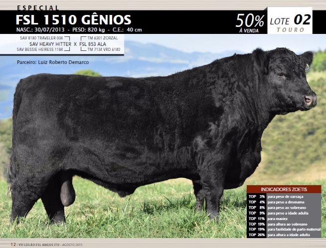 Lote 2 - Leilão FSL 2015