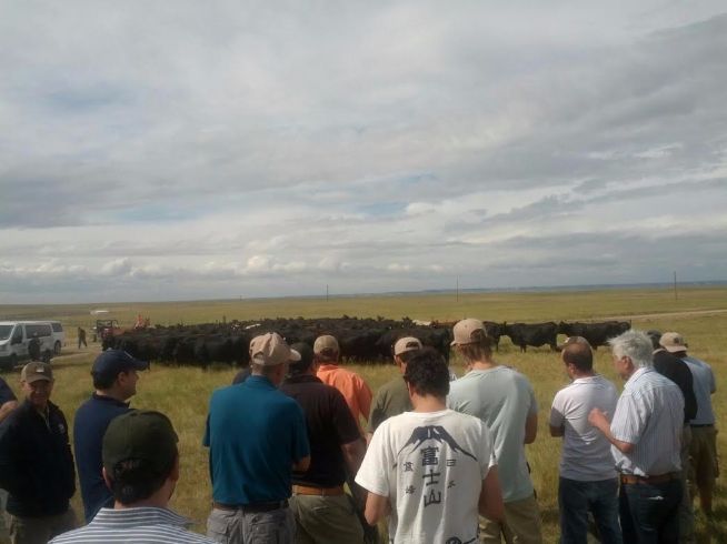 ABS Beef Tour 2015