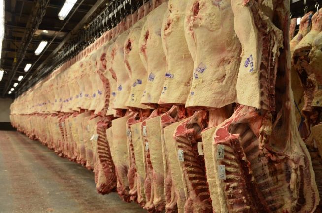 ABS Beef Tour 2015