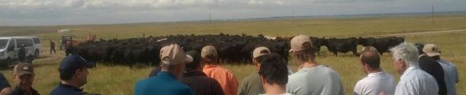 ABS Beef Tour 2015