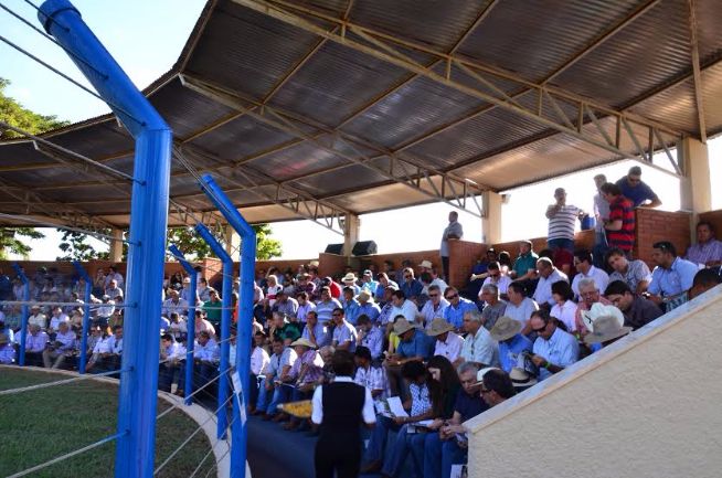 Desfile de Touros reúne cerca de 500 pessoas