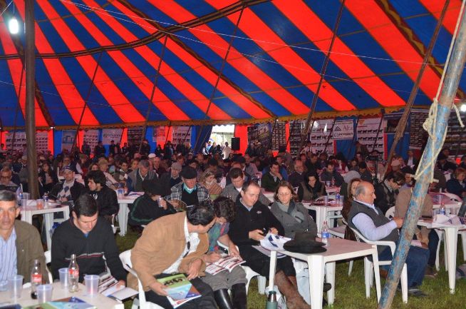 Desfile de Touros PROGEN 2015