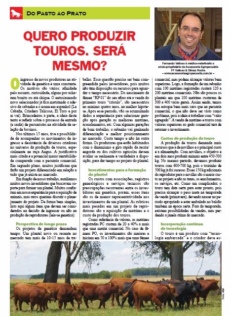 Artigo: Quero produzir touros. Será mesmo? (Por Fernando F. Velloso)