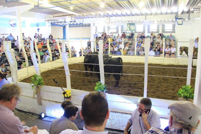 JMT esquenta expectativas para temporada gaúcha