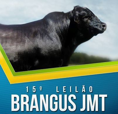 JMT esquenta expectativas para temporada gaúcha