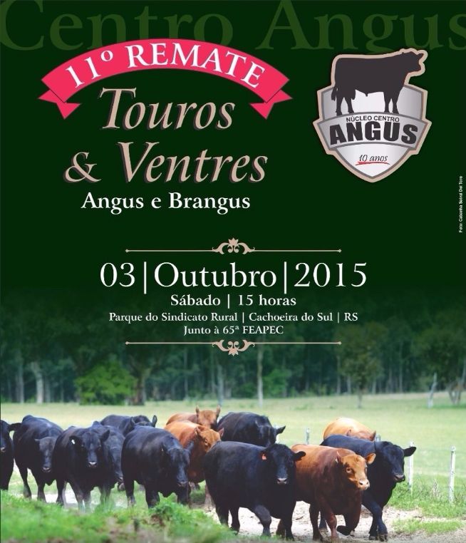 Núcleo Centro Angus comemora 10 anos com leilão e exposição